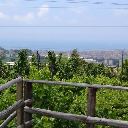 B&B Green Valley Salerno Luaran gambar