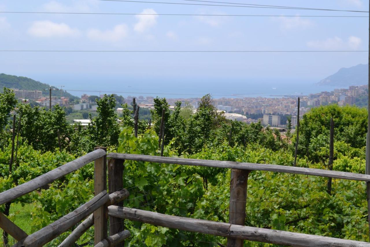 B&B Green Valley Salerno Luaran gambar