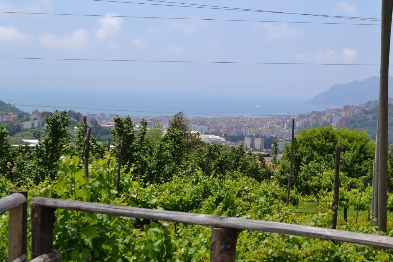 B&B Green Valley Salerno Luaran gambar